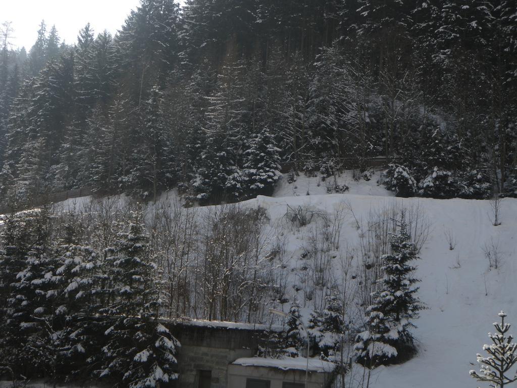 Appartement Schlosser เซลล์อัมเซ ภายนอก รูปภาพ
